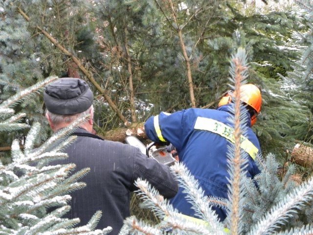 christbaumaufstellen 2017 16